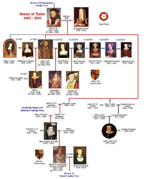 monarch tudor|are there any tudor descendants living today.